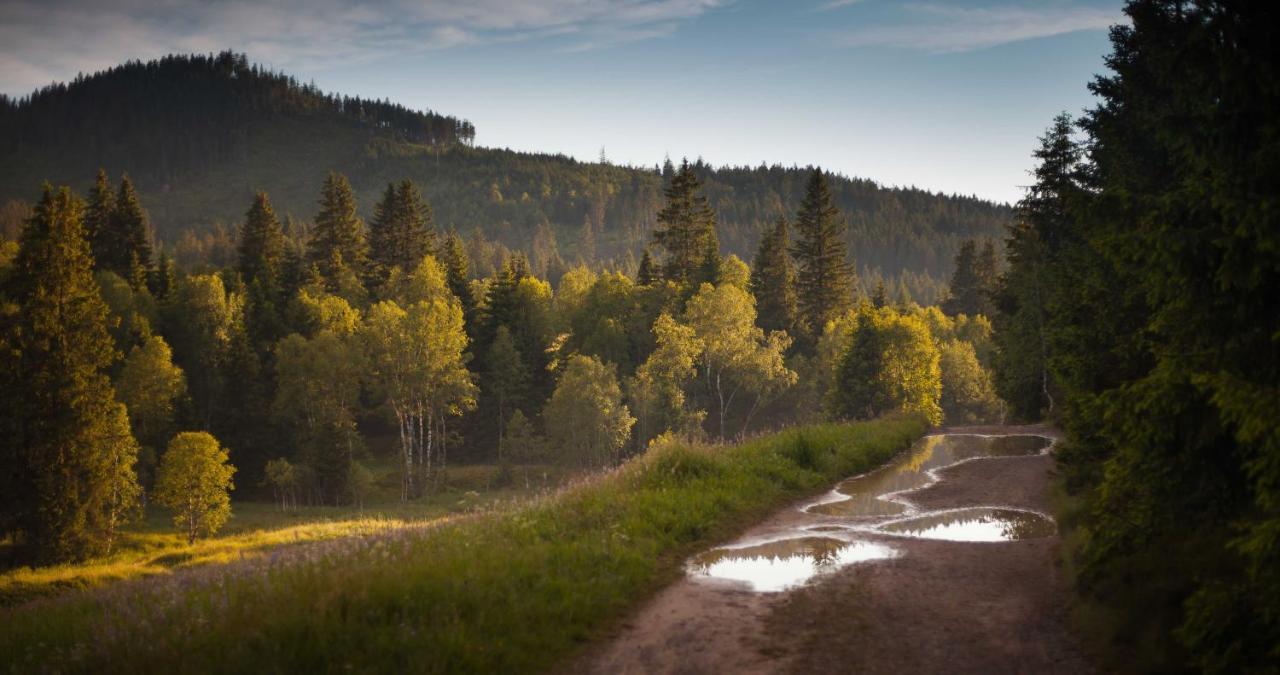 Penzion Горска-Квілда Екстер'єр фото