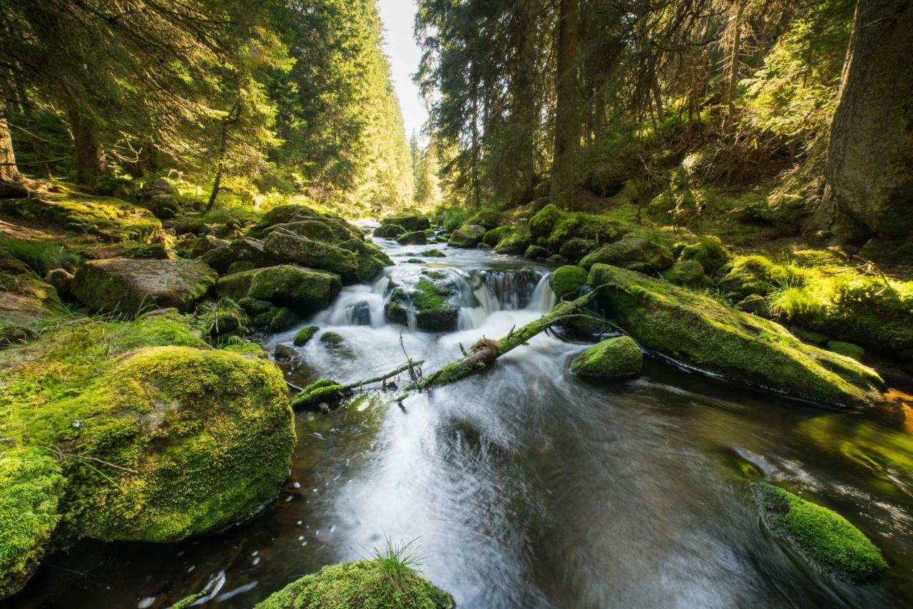 Penzion Горска-Квілда Екстер'єр фото