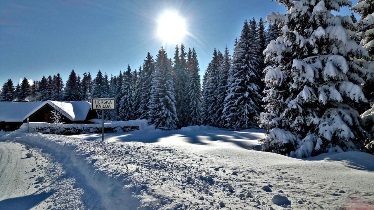 Penzion Горска-Квілда Екстер'єр фото